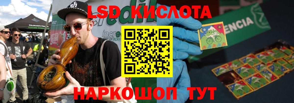 Галлюциногенные грибы Саратов