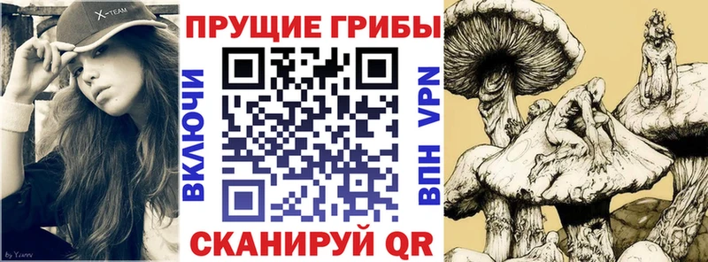 Псилоцибиновые грибы GOLDEN TEACHER  Саратов 