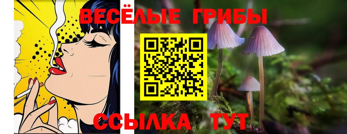 Галлюциногенные грибы Magic Shrooms Саратов