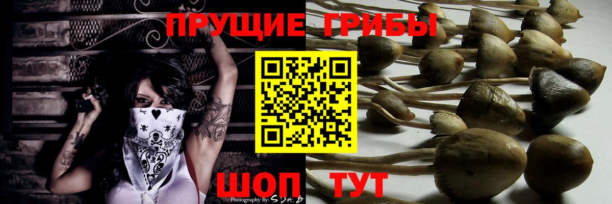 Саратов  купить наркотик  Вход с VPN  Галлюциногенные грибы ЛСД 
